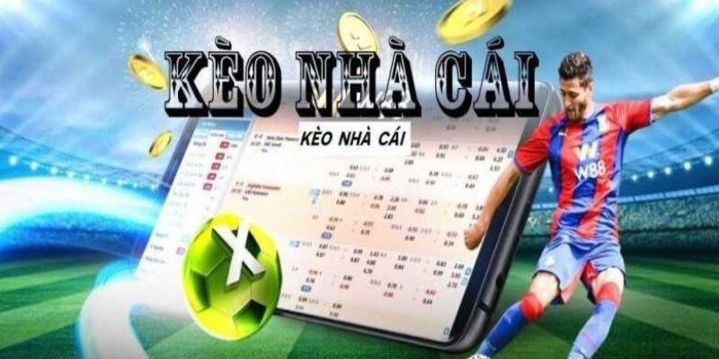 Tỷ Lệ Kèo Nhà Cái NEW88 Uy Tín – Độ Chính Xác Cao 2025 2 Tổng hợp kèo cược tại nhà cái New88