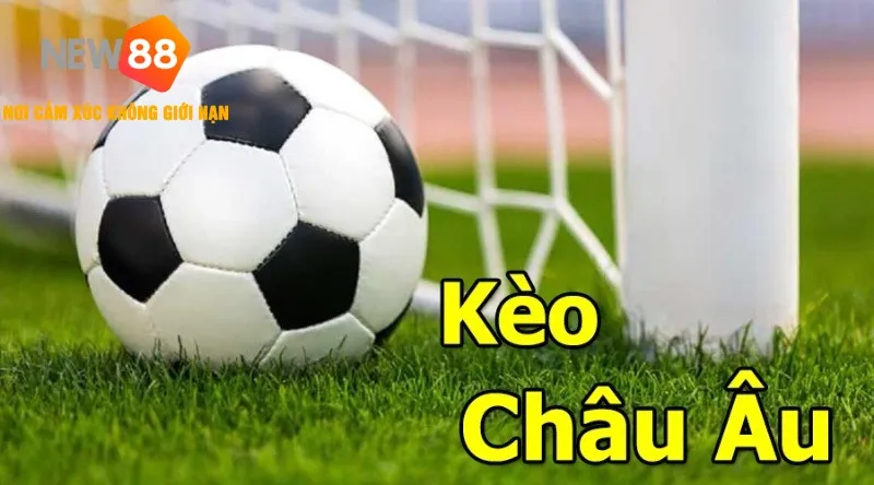 Cá Độ Bóng Đá Trực Tuyến NEW88 ⚽ Uy Tín & An Toàn 2025 2 Cược kèo châu Âu NEW88