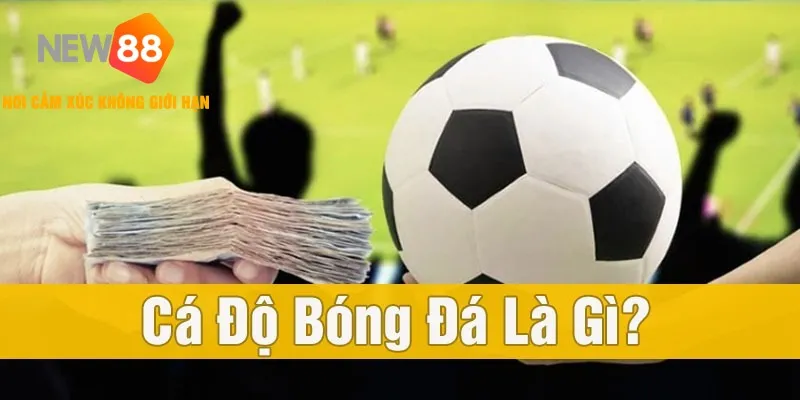 Cá Độ Bóng Đá Trực Tuyến NEW88 ⚽ Uy Tín & An Toàn 2025 1 Tìm hiểu sơ về khái niệm cá độ bóng đá
